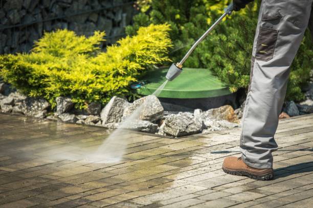Best Warehouse Cleaning  in Forest, VA