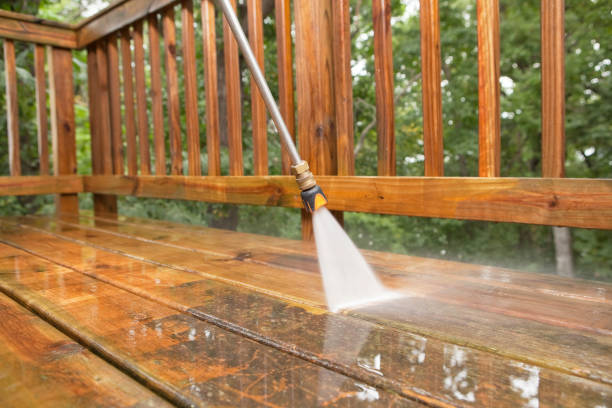 Best Rust Removal  in Forest, VA